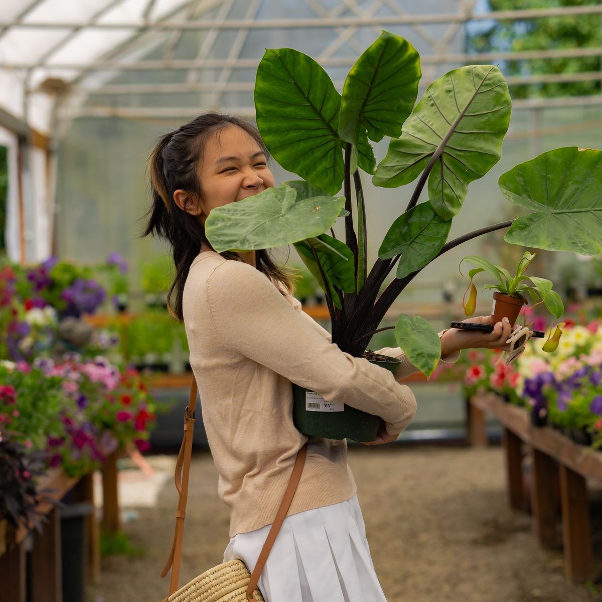 A happy shopper carrying plants home from a local garden center